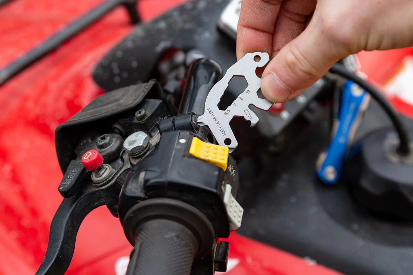 Keysmart Alltul Bear - Image 5
